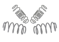Coil Springs - Lowered - WSK-FRD002