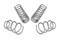 Coil Springs - Lowered - WSK-FRD003