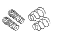Coil Springs - Lowered - WSK-FRD003
