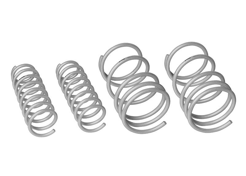 Coil Springs - Lowered - WSK-MIT002