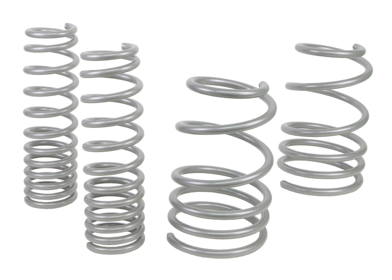 Coil Springs - Lowered - WSK-MIT002