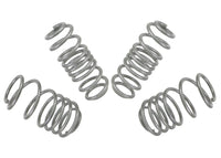 Coil Springs - Lowered - WSK-VWN003