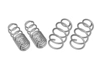 Coil Springs - Lowered - WSK-VWN004