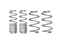 Coil Springs - Lowered - WSK-VWN004