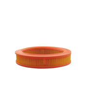 Gaisa filtrs - AR 239