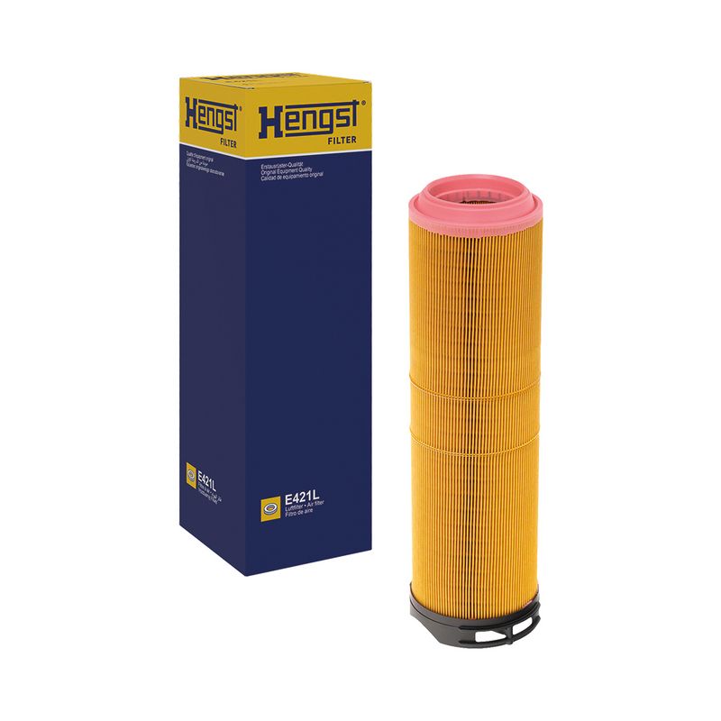 Gaisa filtrs - E421L