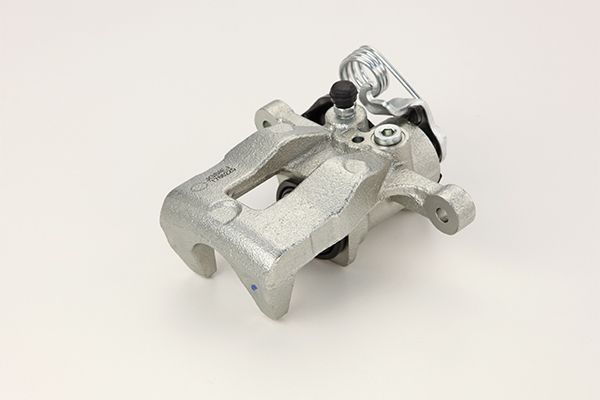Jarrusatula - 24.3344-1739.5