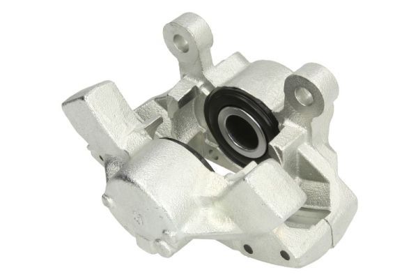 Jarrusatula - CZH1159