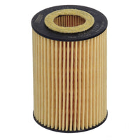 Eļļas filtrs - E234H D290