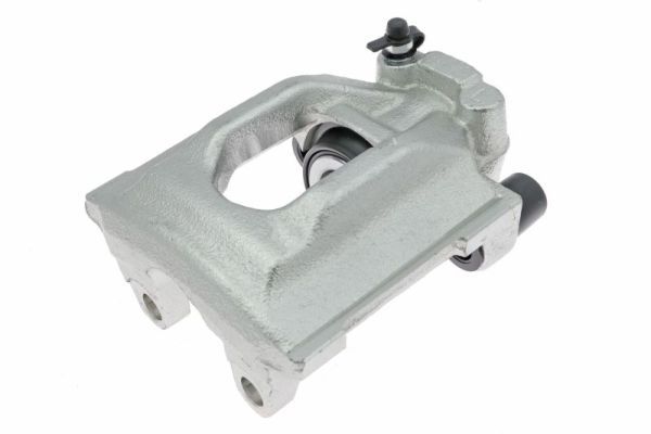 Jarrusatula - CZH1602