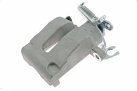 Jarrusatula - CZH1154