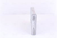 Siltummainis, Salona apsilde - 70978