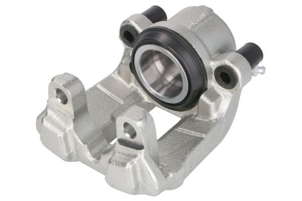 Jarrusatula - CZH2153
