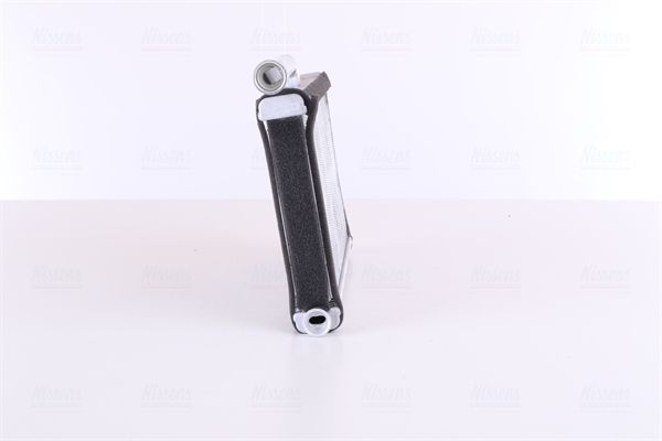 Siltummainis, Salona apsilde - 70233