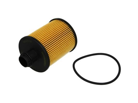 Eļļas filtrs - B1X033PR
