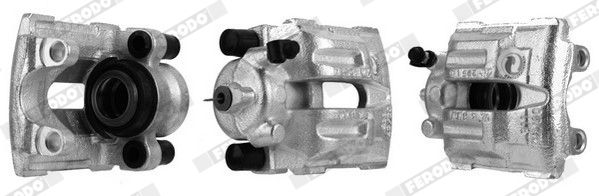 Jarrusatula - FCL694547
