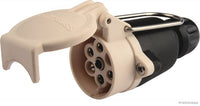 Pistorasia - 51305458