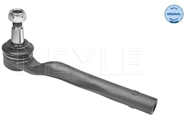 Raidetangon pää - 016 020 0057
