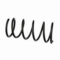 Jousi (auton jousitus) - R11000