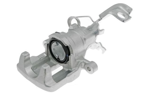 Jarrusatula - CZH1070