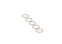 Paplāksne - F.00Z.C99.884