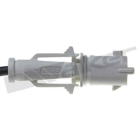 Motora dzesēsanas radiators - 10031008