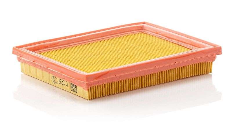 Ilmansuodatin - C 2237