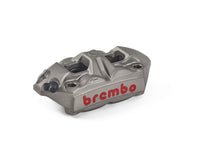 Jarrusatula - 920988505