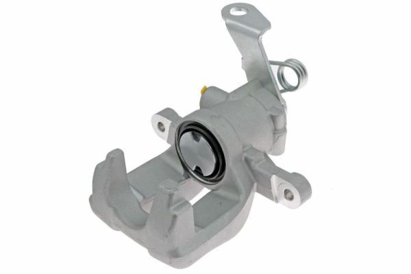 Jarrusatula - CZH1507