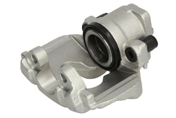 Jarrusatula - CZH1203