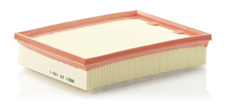 Ilmansuodatin - C 25 109/1