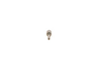 Sprauslas smidzinātājs - 0 433 171 992