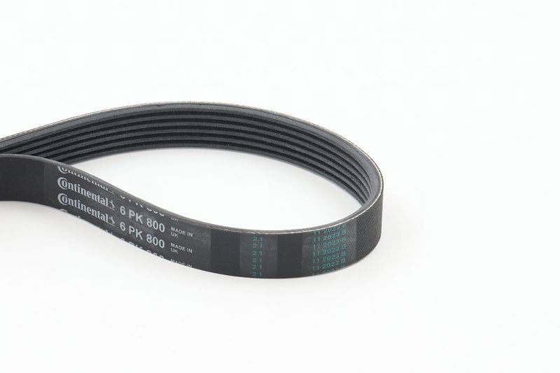 Celiņu siksna - 6PK800