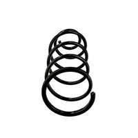 Jousi (auton jousitus) - R10150