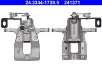 Jarrusatula - 24.3344-1739.5
