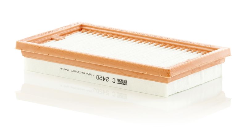 Ilmansuodatin - C 2420