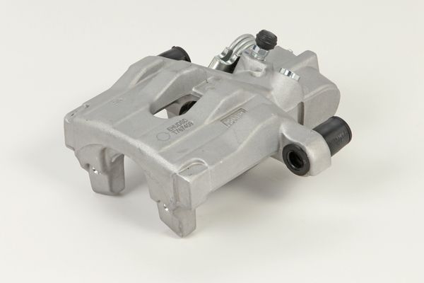 Jarrusatula - 24.3387-7001.5