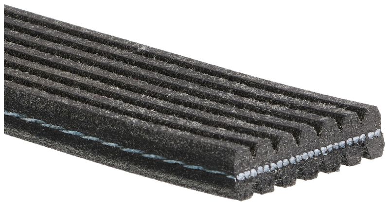 Celiņu siksna - 7DPK2884