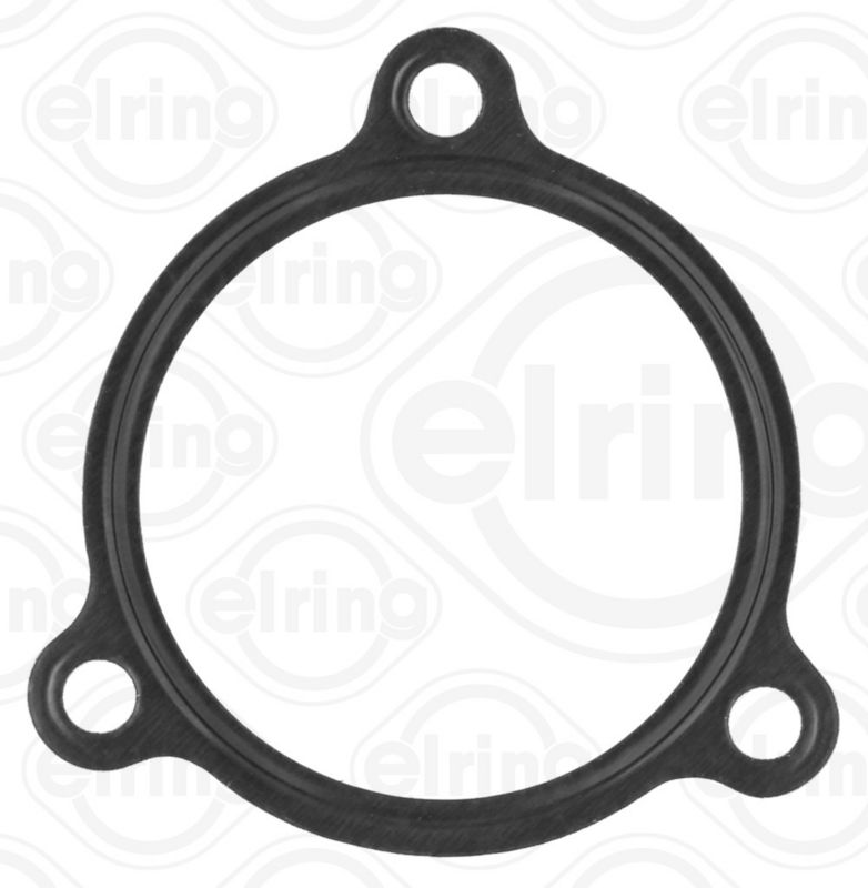 Blīve, Termostats - 588.570
