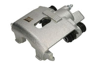 Jarrusatula - CZH1450