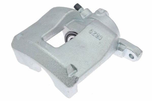 Jarrusatula - CZH1501