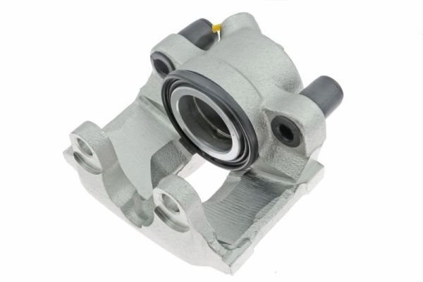 Jarrusatula - CZH1008