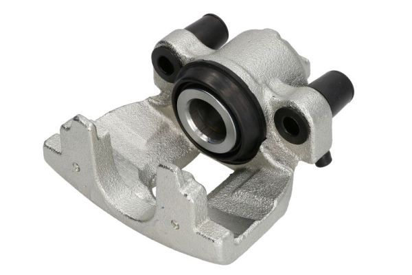 Jarrusatula - CZH1165