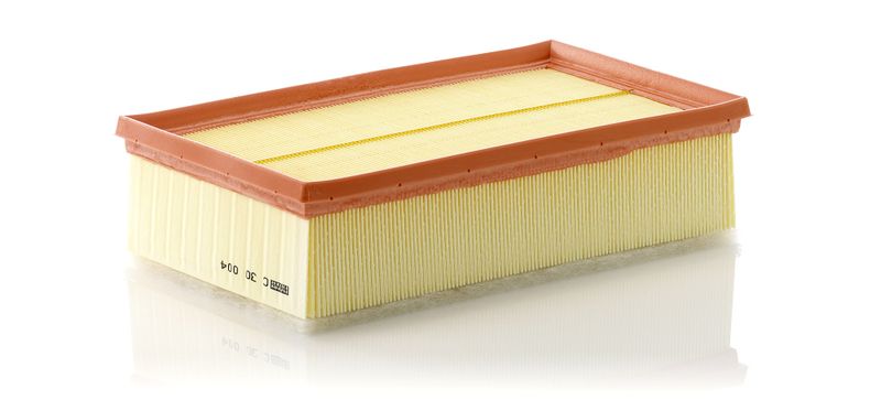 Ilmansuodatin - C 30 004