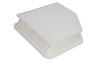 Gaisa filtrs - B22101PR