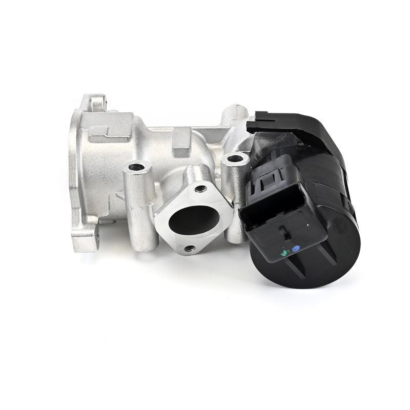 Izplūdes gāzu recirkulācijas vārsts - EG10591-