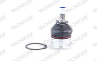 Pallonivel - L10537