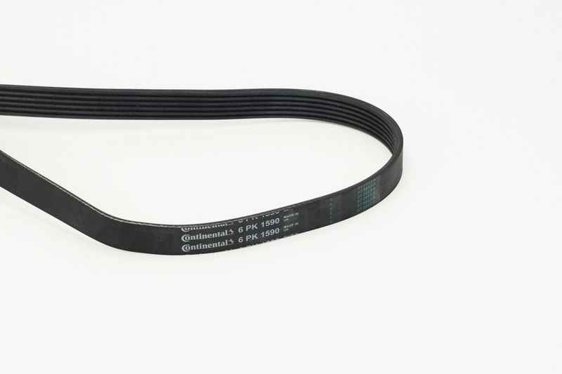 Celiņu siksna - 6PK1590