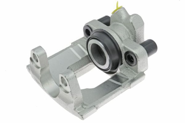 Jarrusatula - CZH1603