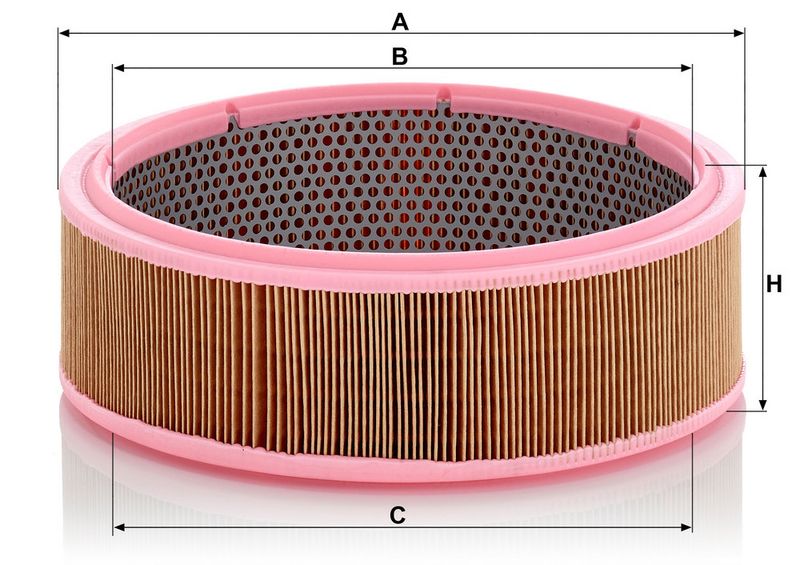 Gaisa filtrs - C 2651